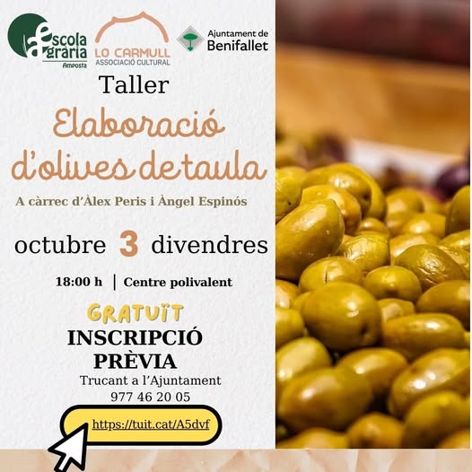 Workshop olijven klaarmaken Afbeelding van de Olive Preparation Workshop poster met een afbeelding van olijven erop