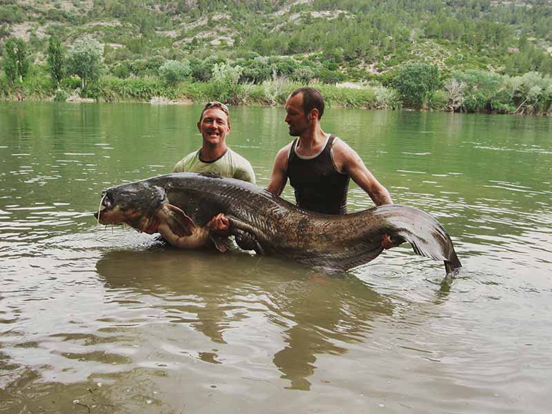 Two anglers holding large Ebro catfish at Riverside Finca fishing swim