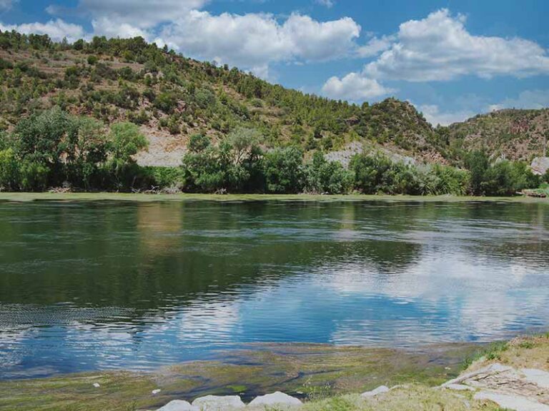 Photo of the fishing swim on the Ebro River at the Riverside Finca when the river level is low